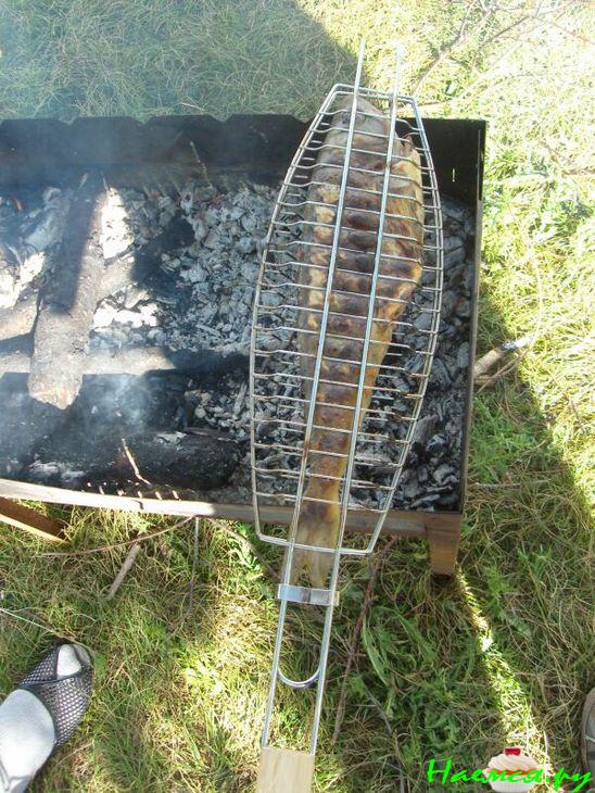 Окунь на углях