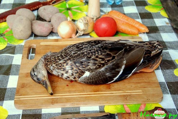 Супчик из дикой утки на огне Супчик из дикой утки на огне