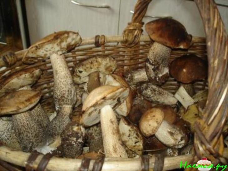 Грибы с картошкой