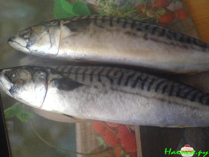 Скумбрия а-ля копченая