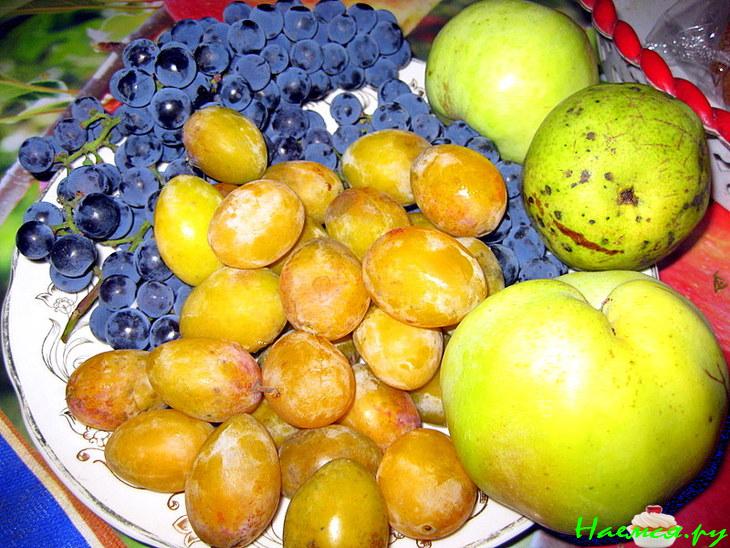 Свой компот Свой компот