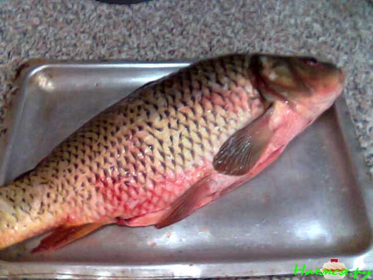 Жареный карп