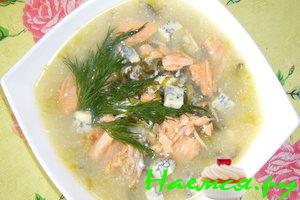 Суп рыбный густой с морской капустой и сыром Суп рыбный густой с морской капустой и сыром