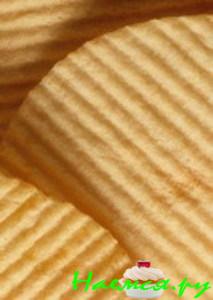 &laquo;Криль на чипсах&raquo;