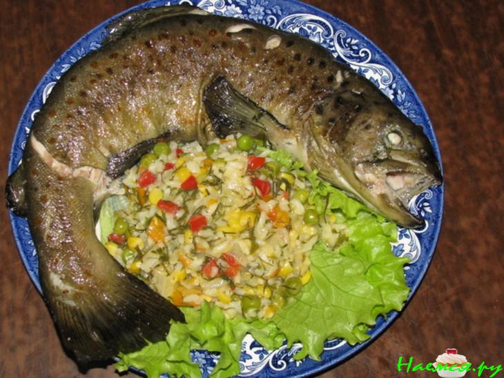 Радужная форель от Монмаранси