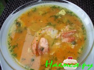 Суп из рыбы и морепродуктов