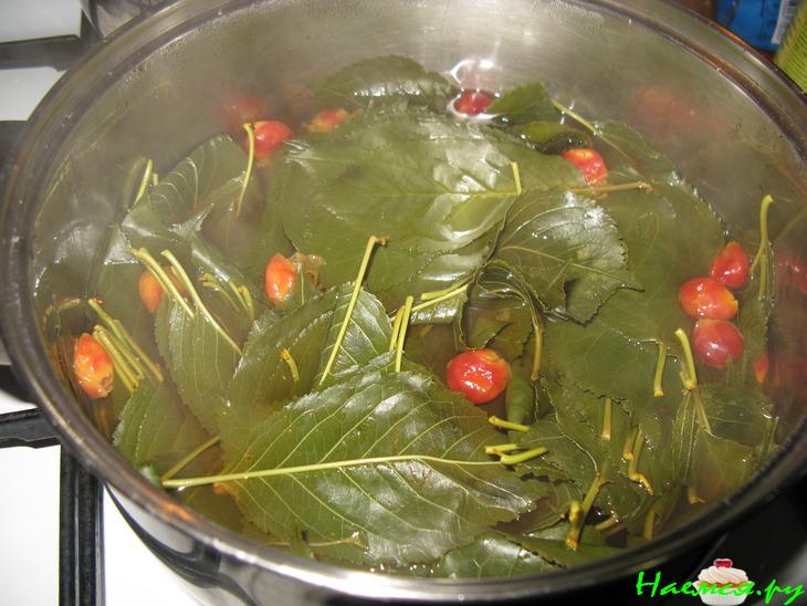 Вишневый ликер за 12 часов