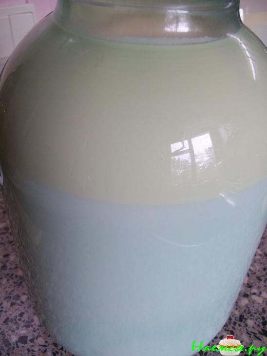 Самый натуральный йогурт, целебный и очень полезный