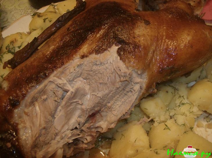 Открытый пирог с уткой и вешенками