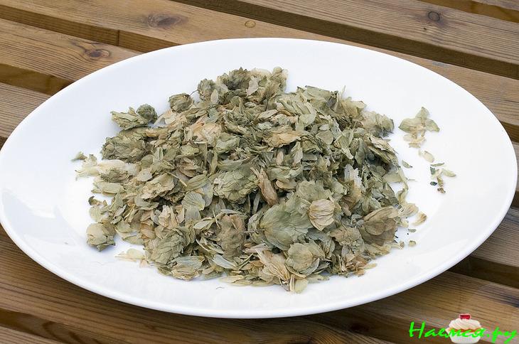 Хмелевая закваска