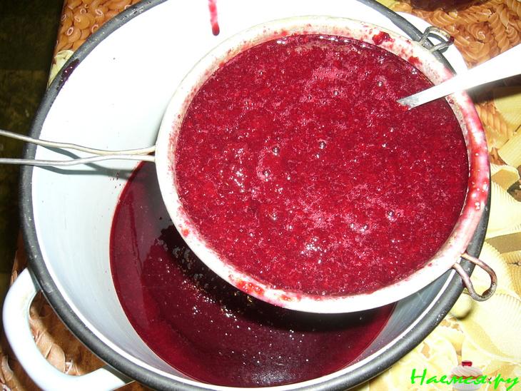 Вишнёвая наливка 'Песня'