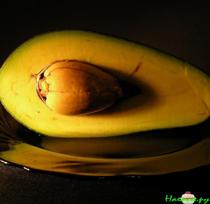 Морской дракон