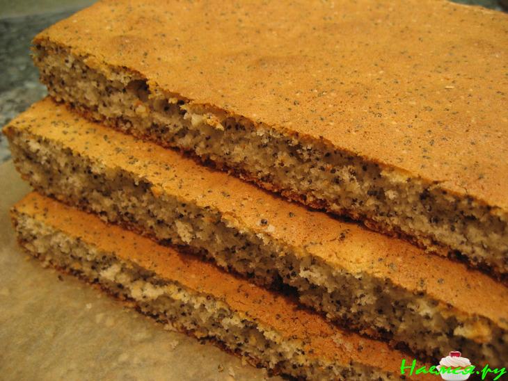 Торт 'Зимнее удовольствие' Торт 'Зимнее удовольствие'