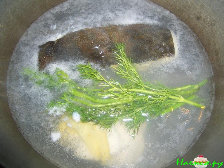 Рыба с соусом бешамель Рыба с соусом бешамель