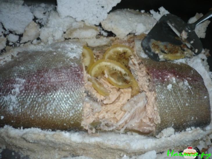 Форель солемарино