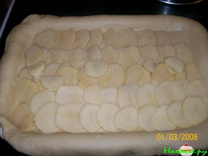 Пироги из бездрожжевого сдобного теста (с мясом и с яблоками)