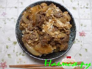 Gyudon Gyudon