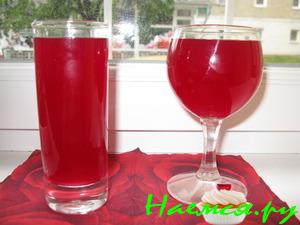 Квас из сырой свеклы