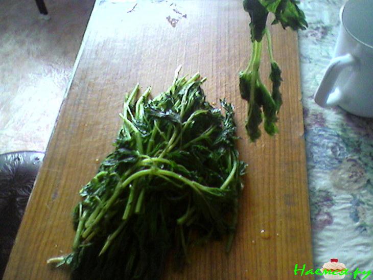 Суп "Крапивница" Суп "Крапивница"