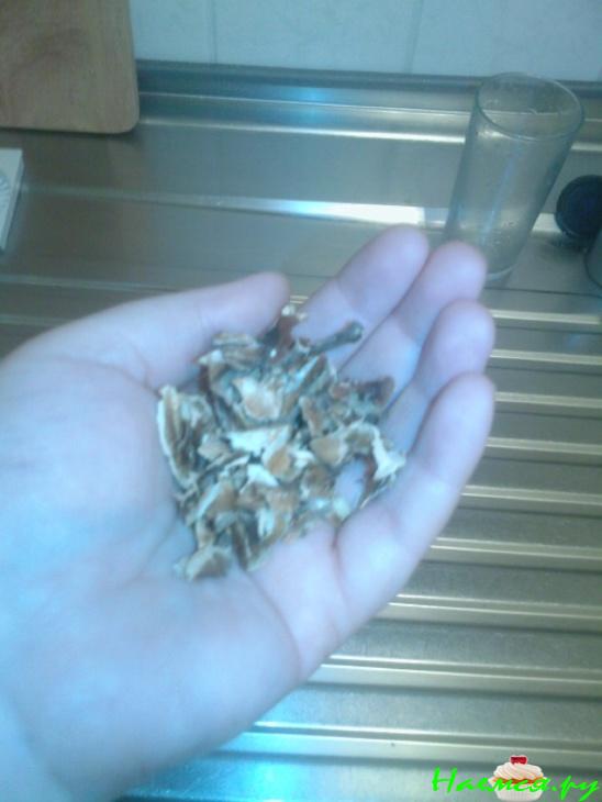 Настойка на перегородках грецкого ореха Настойка на перегородках грецкого ореха