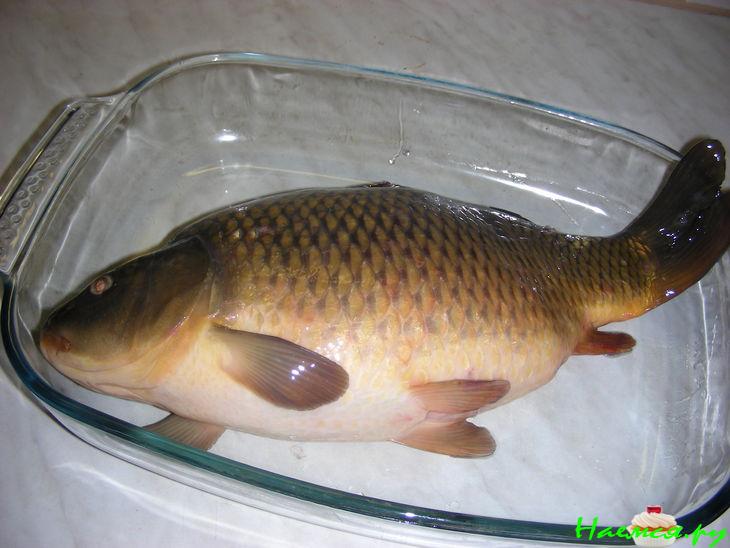 Чесночно-укропный карп