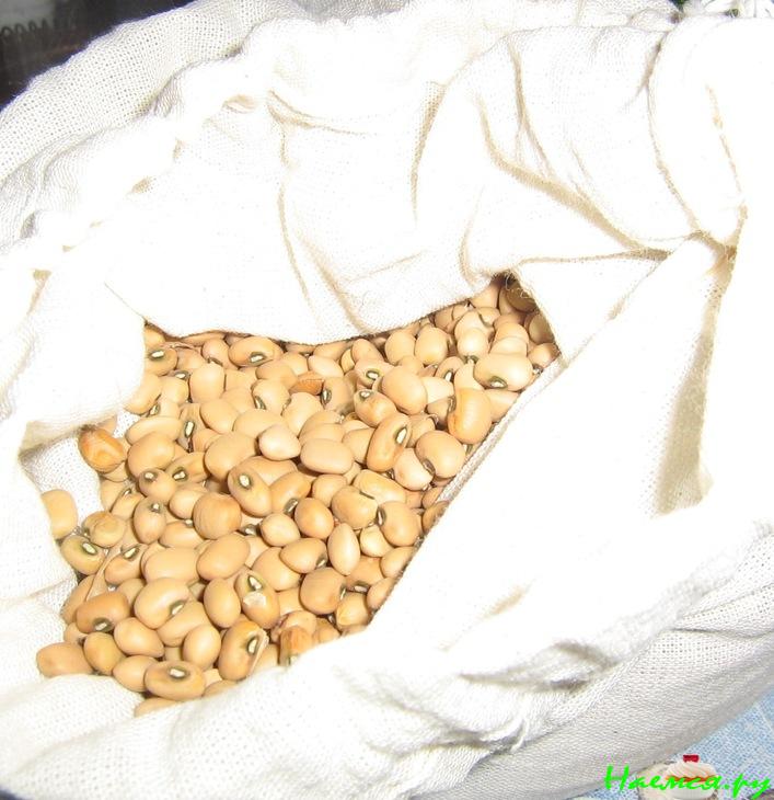 Тыква с машем Тыква с машем