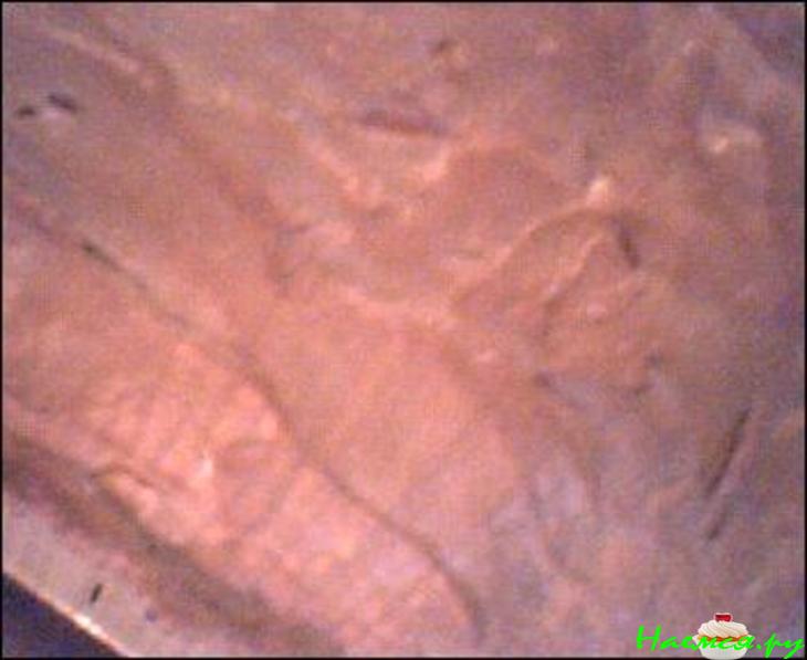 Яблочный пирог с безе (антоновка) Яблочный пирог с безе (антоновка)