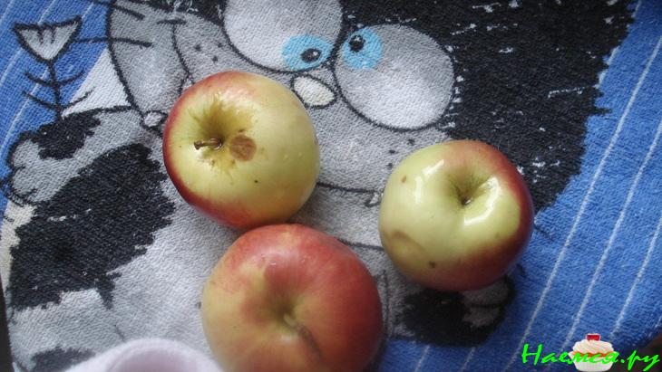 Творожники по-немецки 'Яблоки с земляными яблоками'