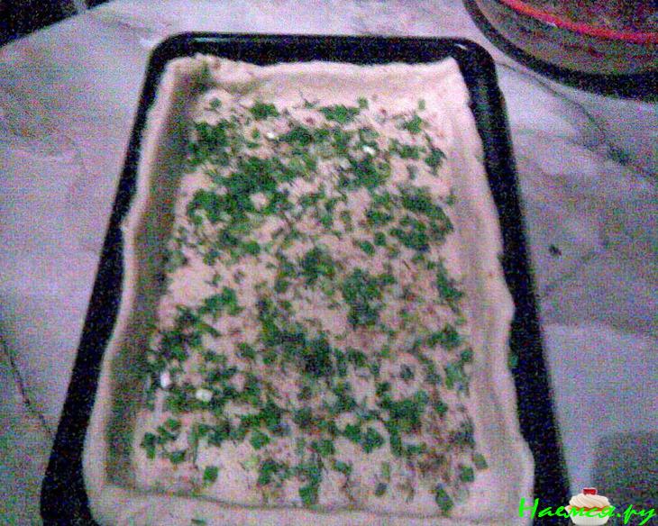 Открытый рыбный 