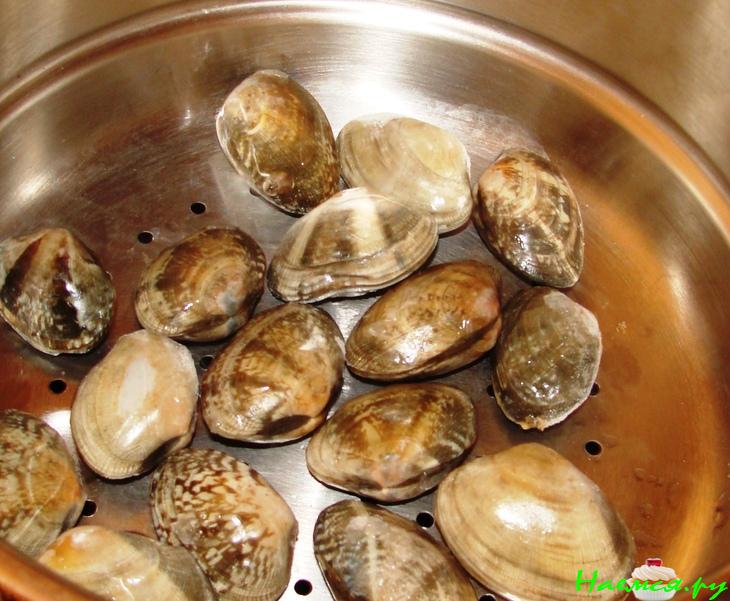 Морские ракушки Морские ракушки