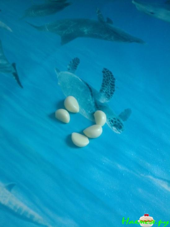 Салат фасолевый с перцем и морковью на зиму 