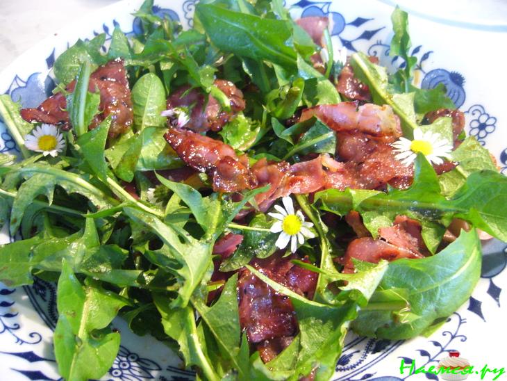 Салат одуванчиковый