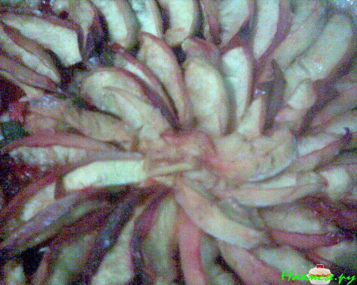 Постный фруктовый пирог из дрожжевого теста (с нектаринами) Постный фруктовый пирог из дрожжевого теста (с нектаринами)