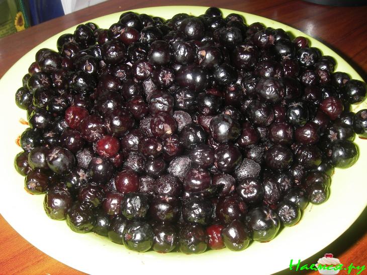 Рулет с черноплодной рябиной