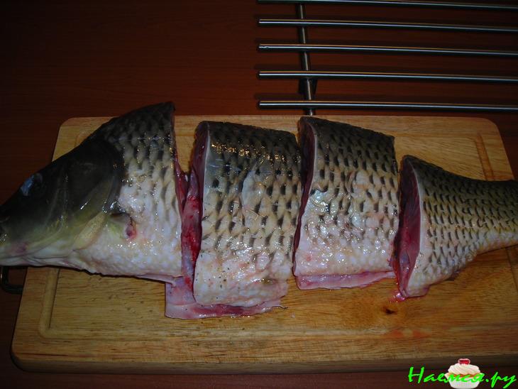 Карп под шубой Карп под шубой