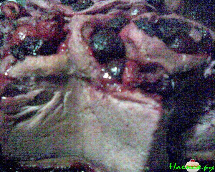 Вишневый пирог с корицей