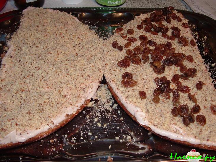 Одна из тысяч бабочек