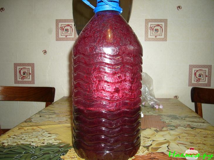 Вишнёвая наливка 'Песня'