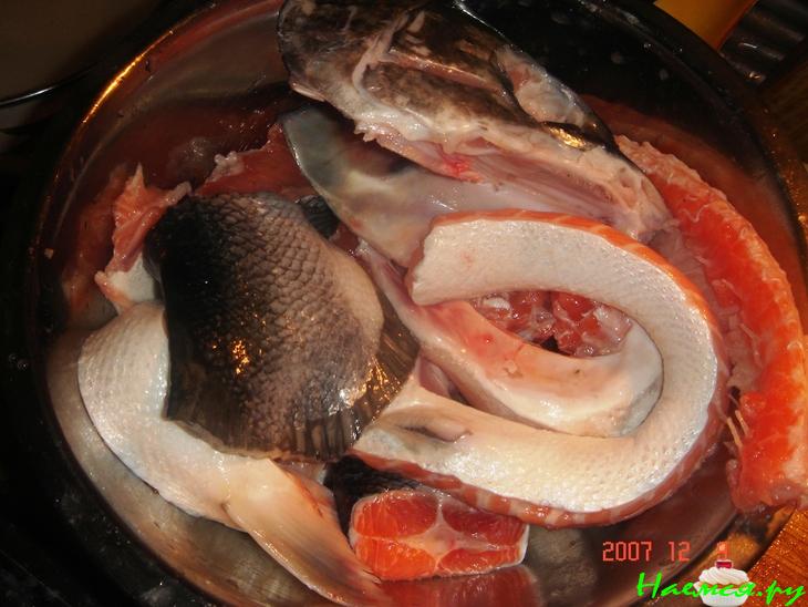 Уха (упрощенный вариант) Уха (упрощенный вариант)