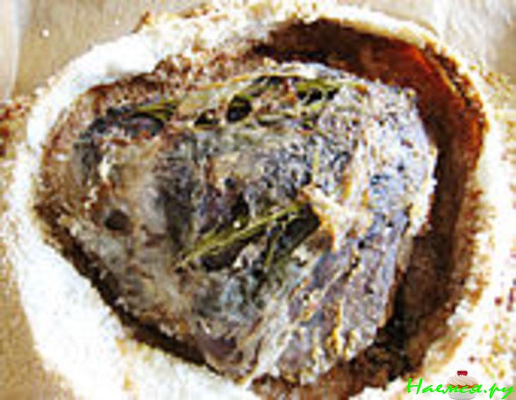 Оленина в соли Оленина в соли