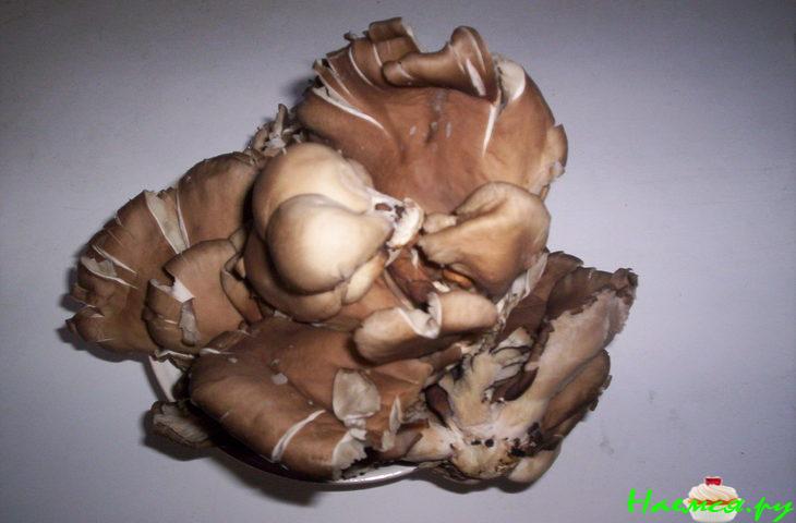 Суп "Вёшенский" Суп "Вёшенский"