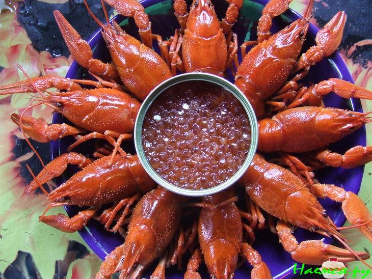 Раки вареные по-артамоновски