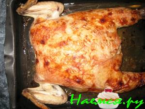 Нежная курочка