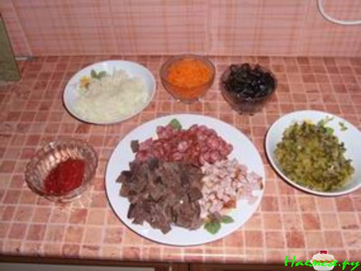 Солянка обыкновенная