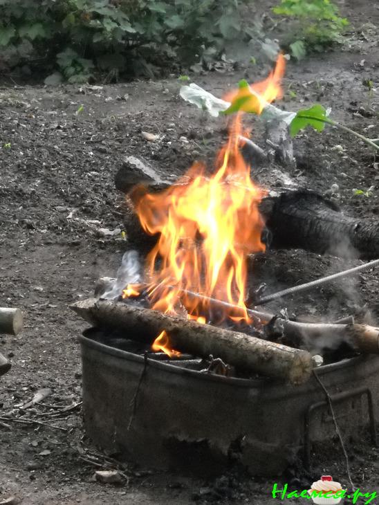 Пангасиус, приготовленный на углях дерева грецкого ореха 