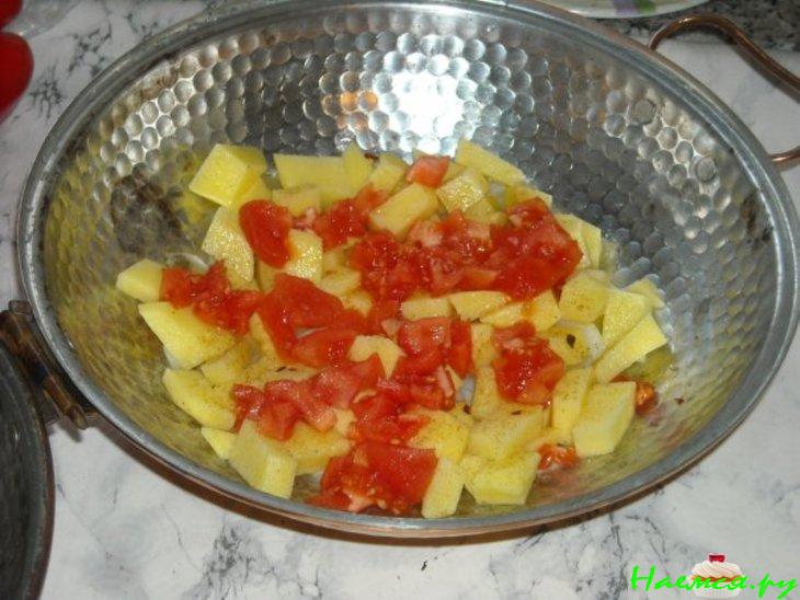 Моллюски в Катаплане