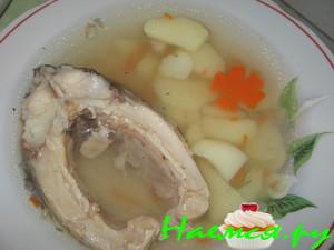 Cуп рыбный (карп)