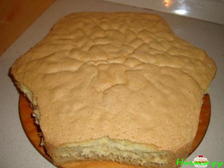 Торт 'Елка' Торт 'Елка'