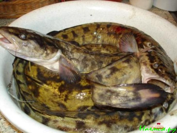 Запеканка "Нежная рыбка"