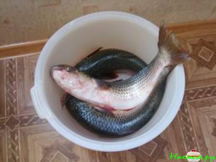 Запеченная рыба Запеченная рыба